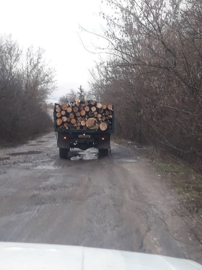 Селище Великий Бурлук, дрова з Куп’янського лісхозу