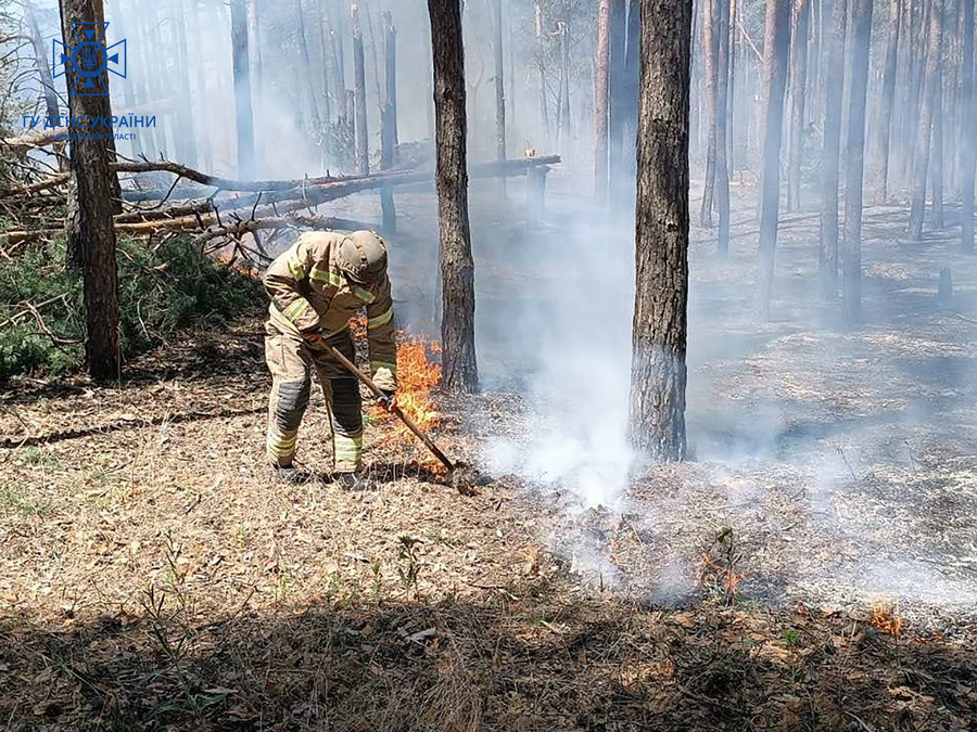 дві лісових пожежі 