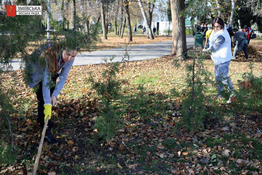 Зміїв, осіння толока у Змієві