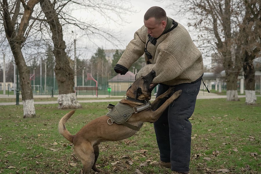 кінологи нацгвардія 