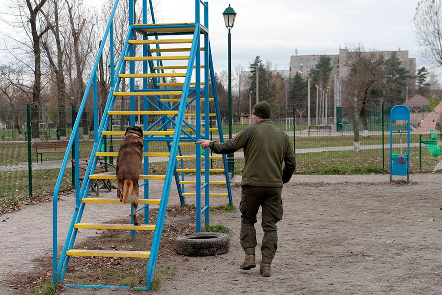 гвардійці показали процес відновлення форми чотирилапих