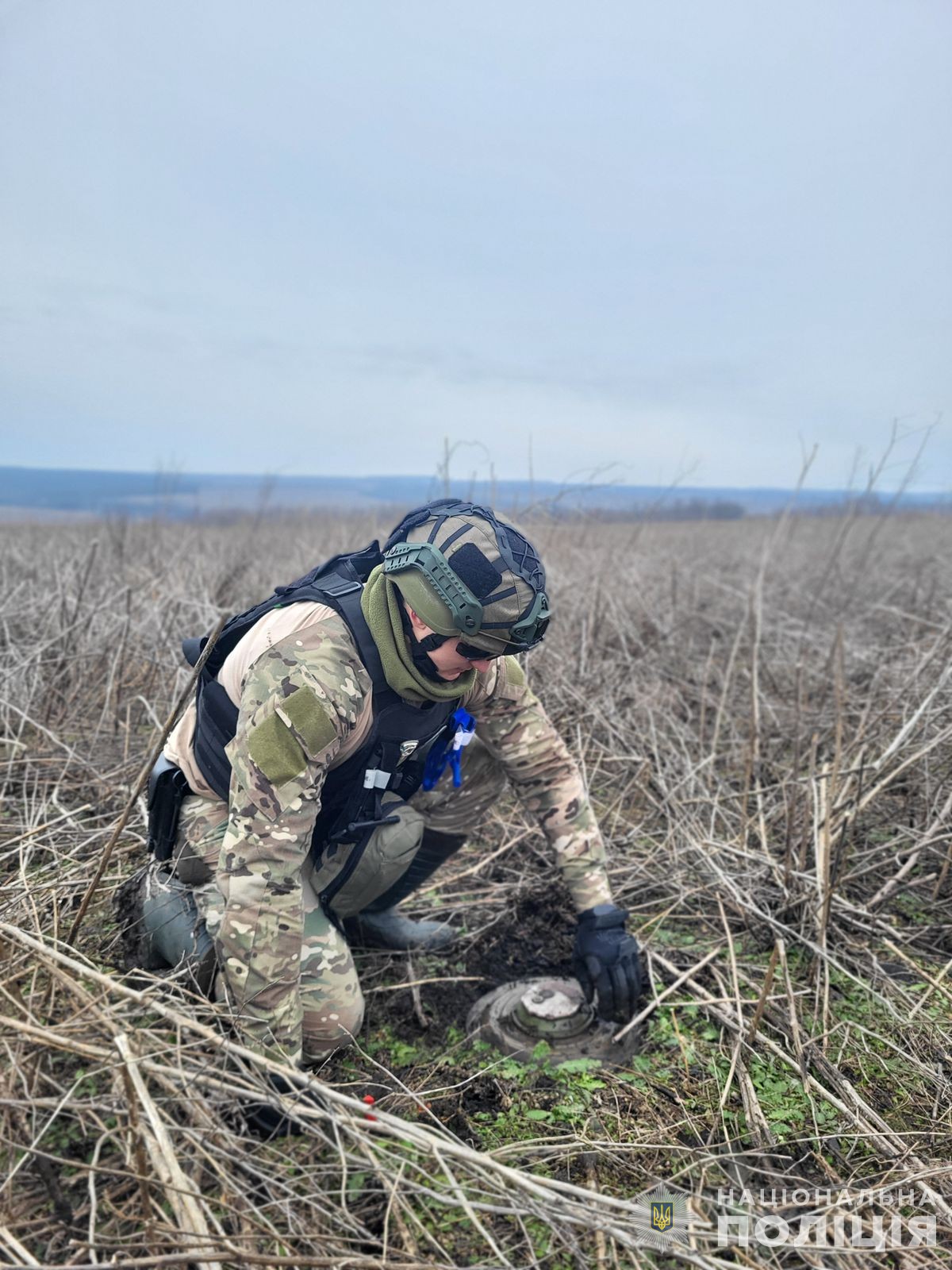 Вибухотехніки знайшли міну