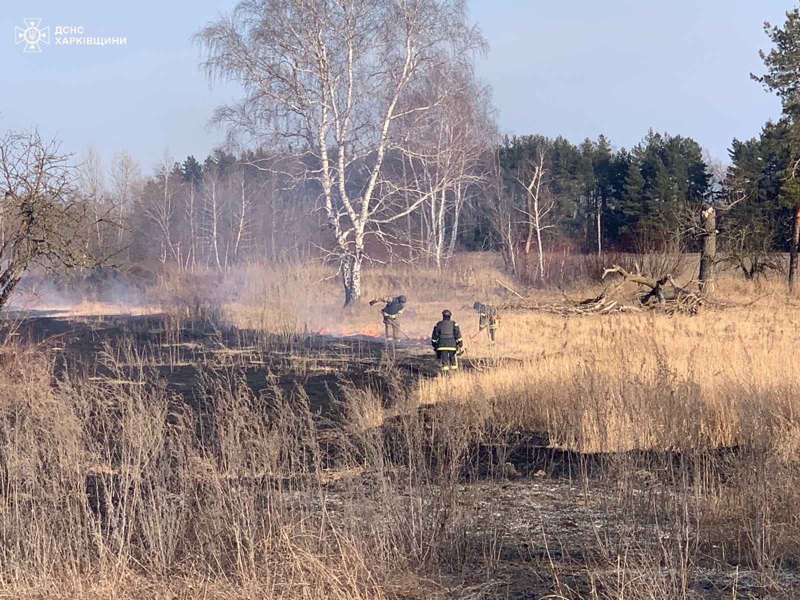 Пожежа у селі Синельникове на Харківщині