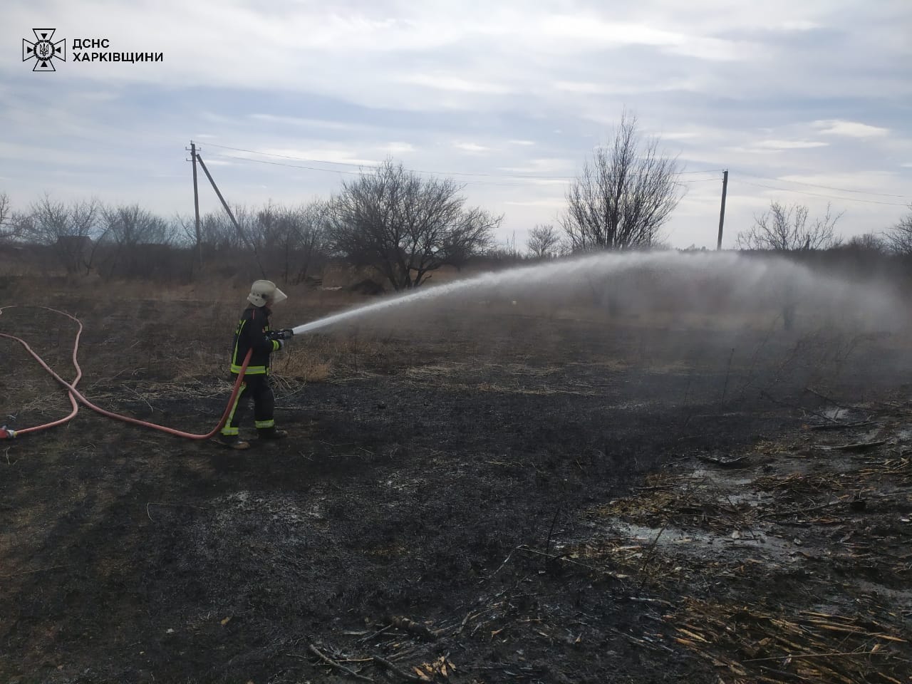 Пожежа у екосистемі, Ківшарівка Харківська область