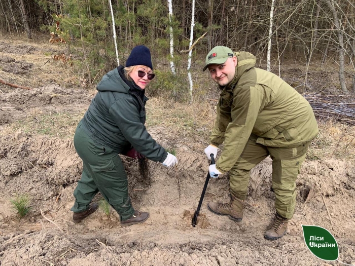 Висадка лісу на Харківщині/фото:Слобожанський лісовий офіс