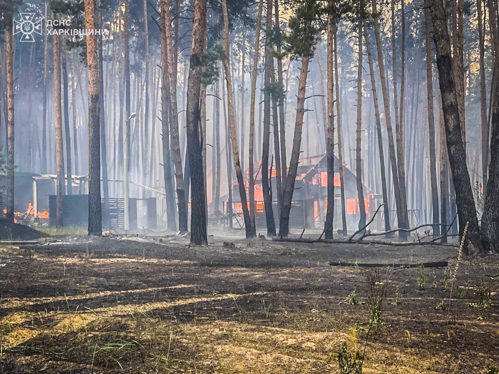 Пожежа в Чугуївському районі, 28 травня