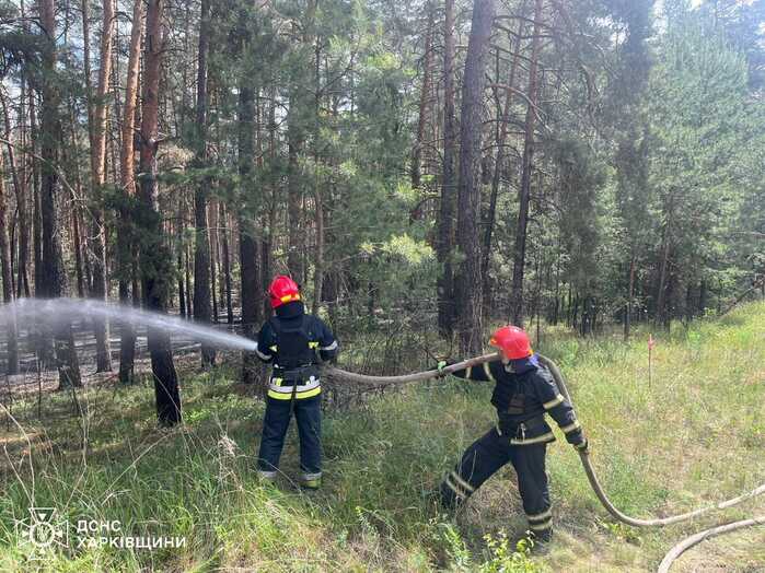 Пожежники ліквідували лісові пожежі у Харківській області
