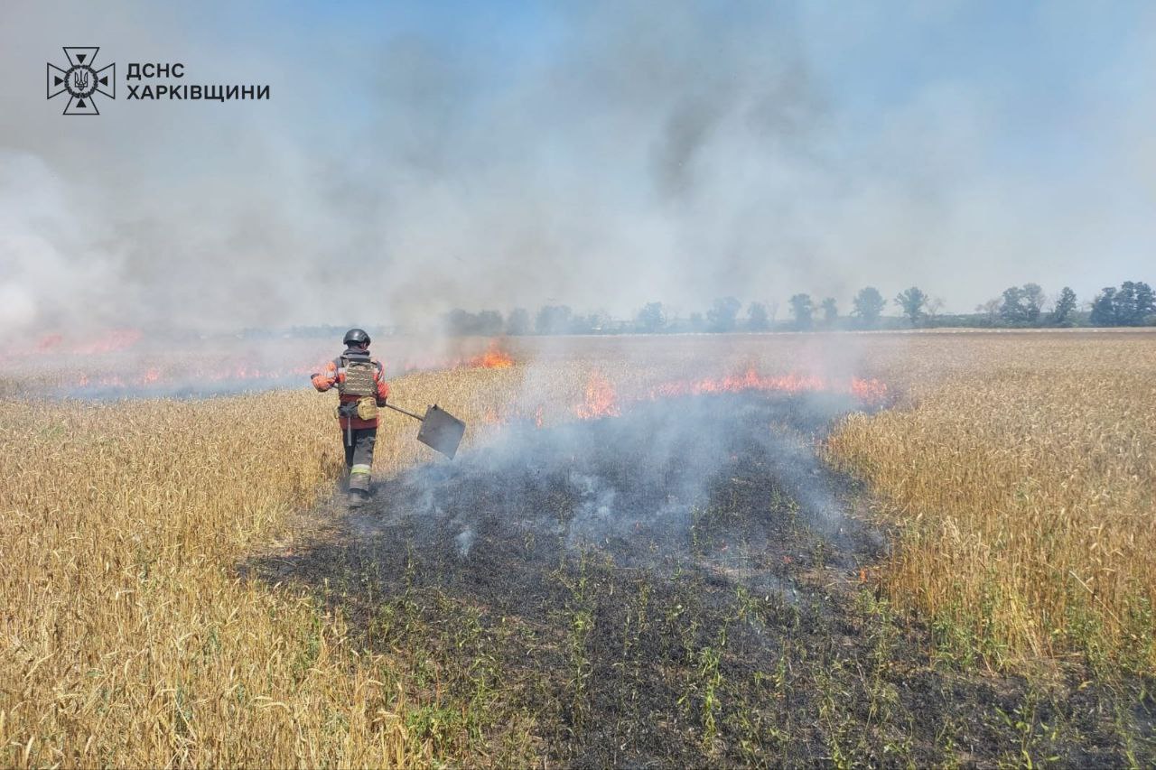 пожежа у полі з пшеницею, Харківщина