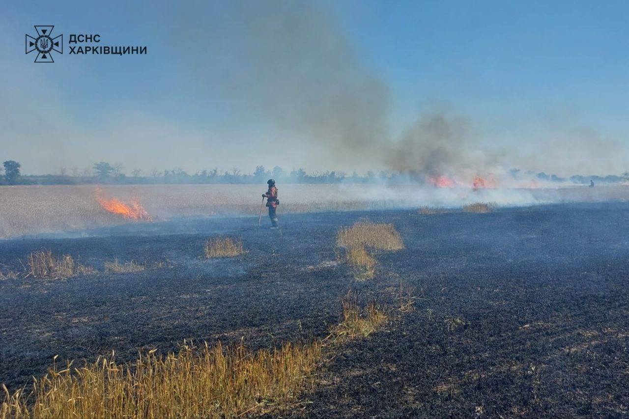 Харківщина, горить пшениця у полі