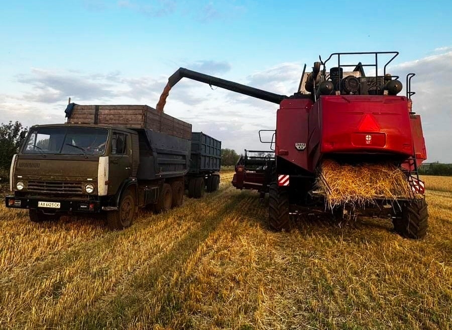 Жнива в агрофірмі «Киселі»/фото Сергій Лобас