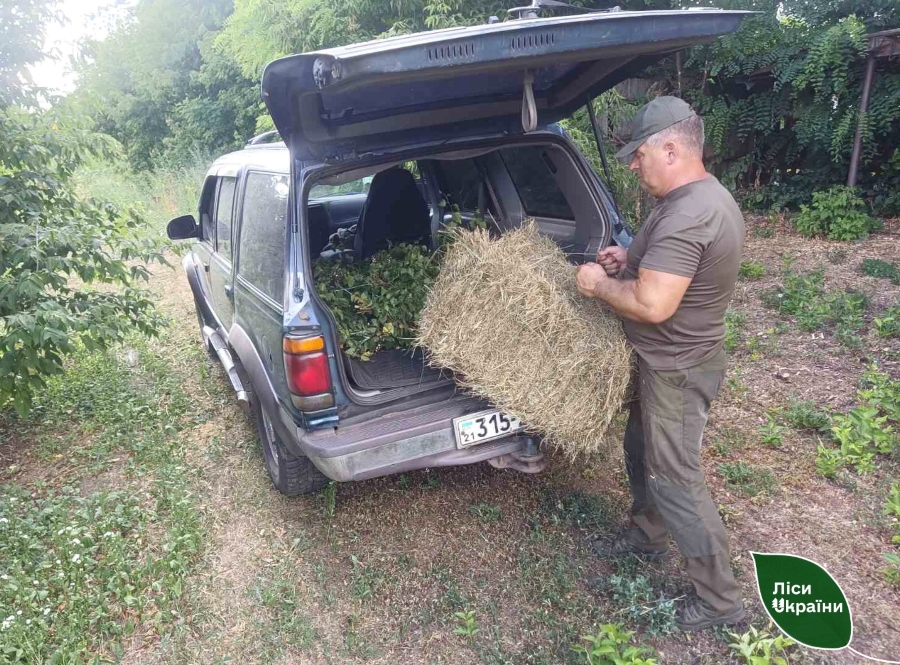 Заготовка кормів для звірів на Харківщині/фото: Слобожанський лісовий офіс