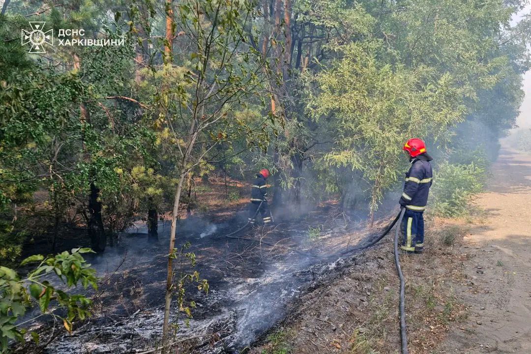 Пожежа в лісі у Балаклії