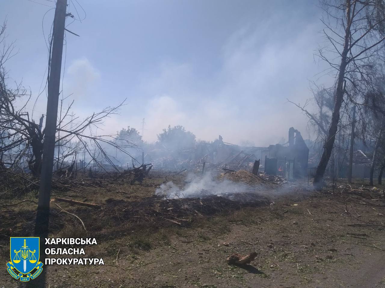 Окупанти обстріляли Новоосинове: пошкоджені будинки, є постраждала