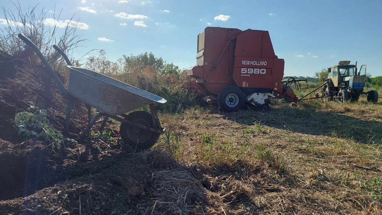 Створення молочної ферми у Близнюківській громаді