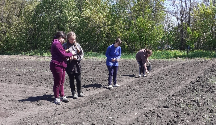 Проєкту «Розумний город», Красненський ліцей, Кегичівка/фото: Олена Єщенко