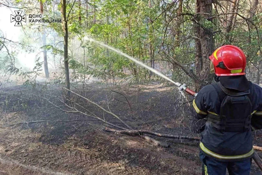 Пожежа на Балаклійщині