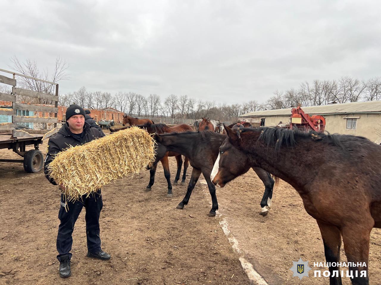 Поліція і волонтери піклуються про тварин у Вовчанській та Старосалтівській громадах