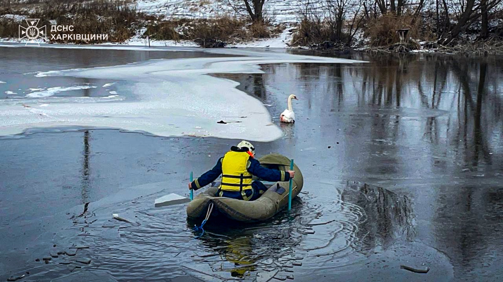 Поранений лебідь, Подворки