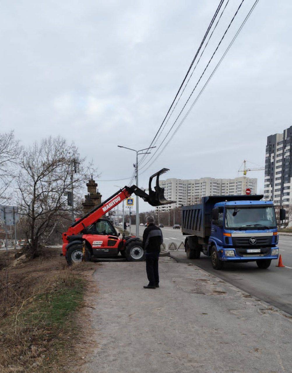 сосновий бор на Журавлівці