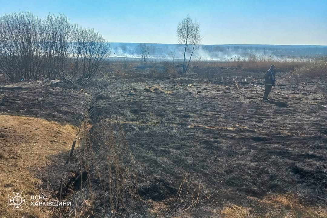 Під час випалювання сухостою загинула жінка