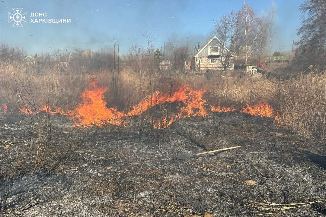 на Харківщині загинула жінка, випалюючи суху траву