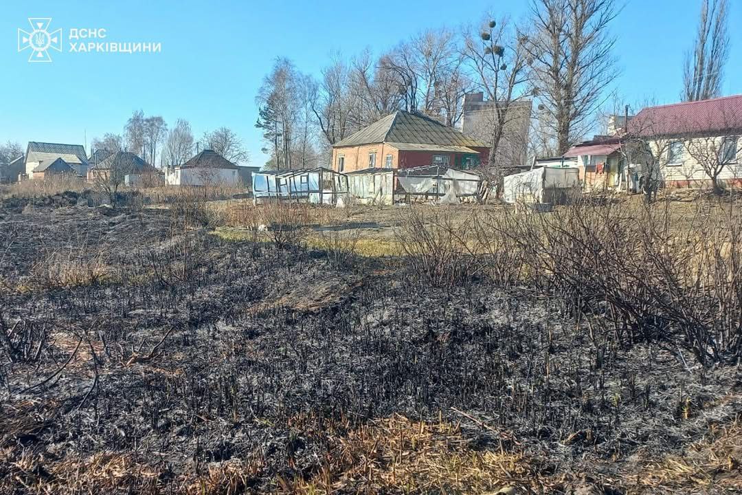 Випалювання сухої трави