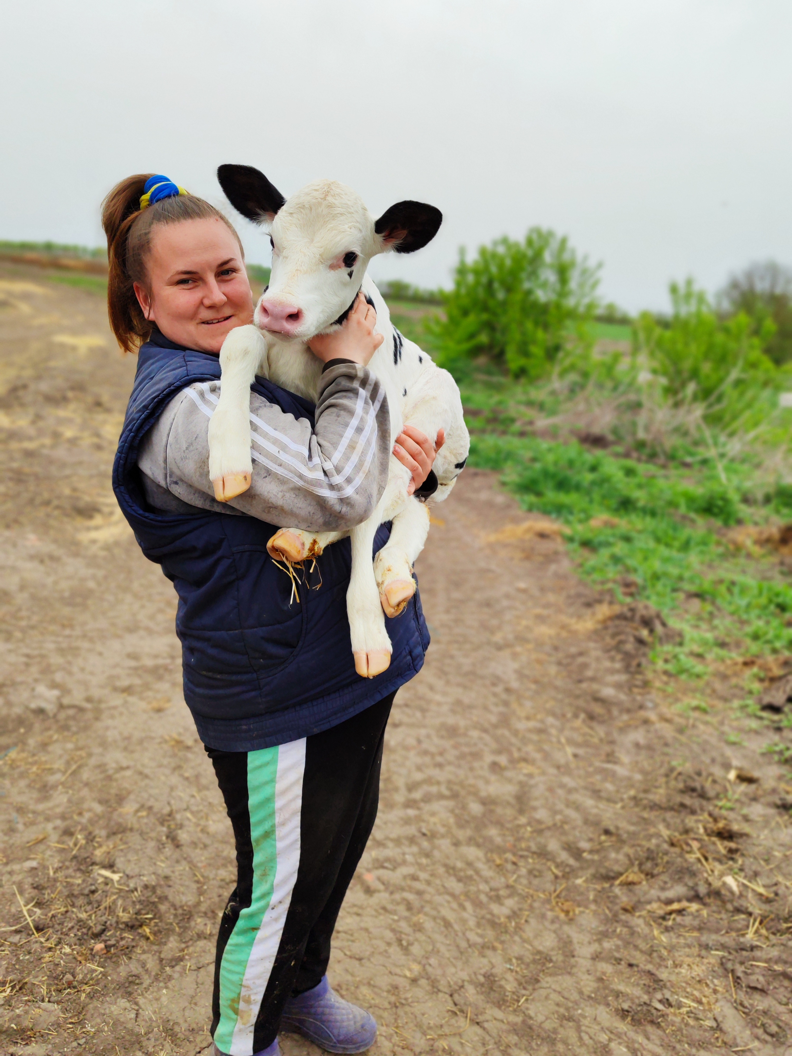 Ветлікарка Світлана Полукарова, ТОВ «Агрофірма «Киселі», Олексіївська громада/фото/Слобідський край